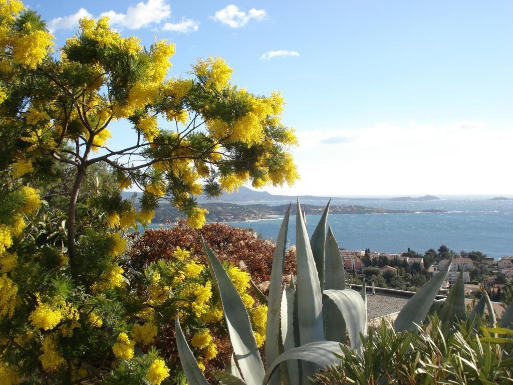 T2 Bandol Ideal Vacances 2 Etoiles ภายนอก รูปภาพ